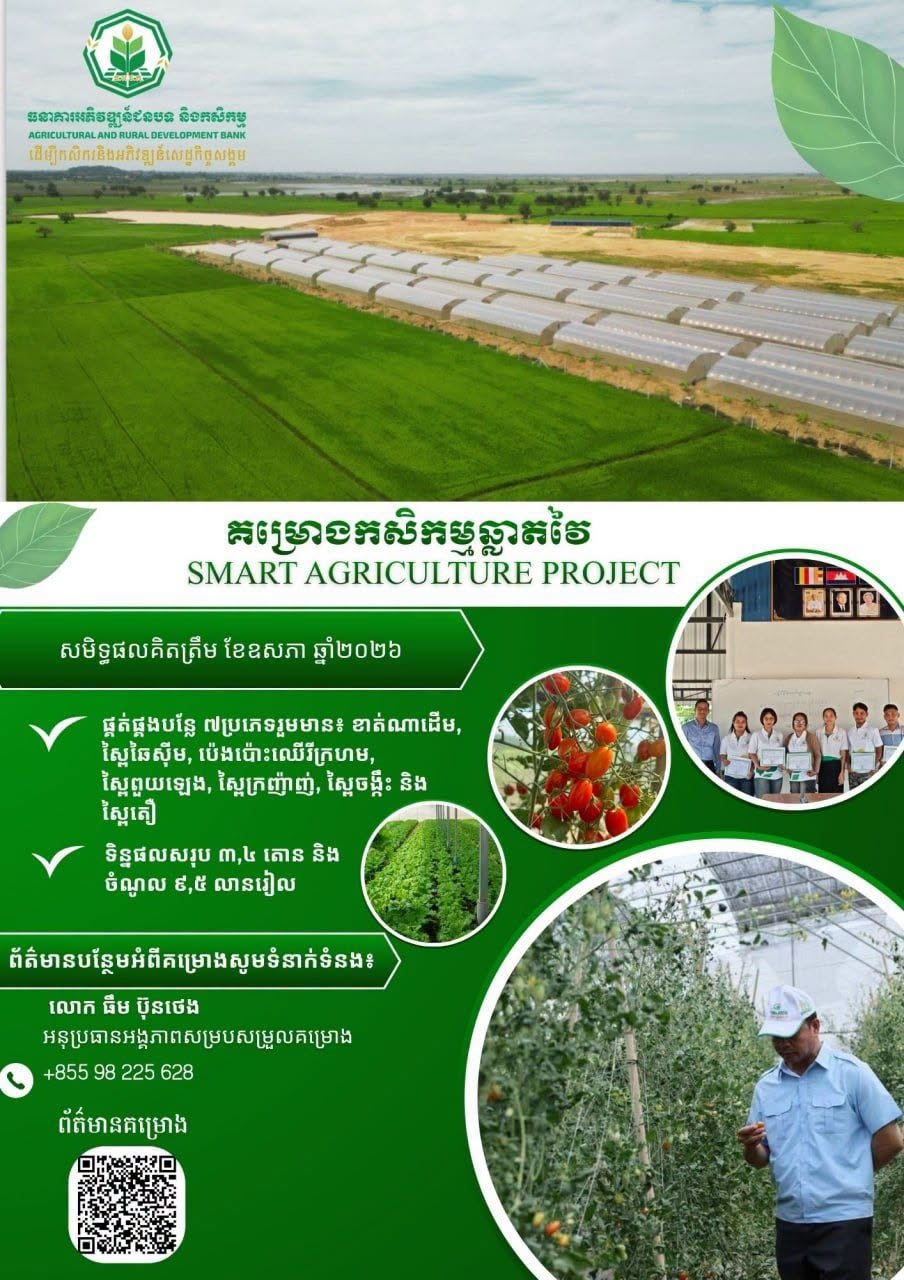 គម្រោងកសិកម្មឆ្លាតវៃ រួមចំណែកលើកកម្ពស់ការផលិតបន្លែសុវត្ថិភាព ជីវភាព និងបង្កើតឱកាសថ្មីសម្រាប់កសិករ
