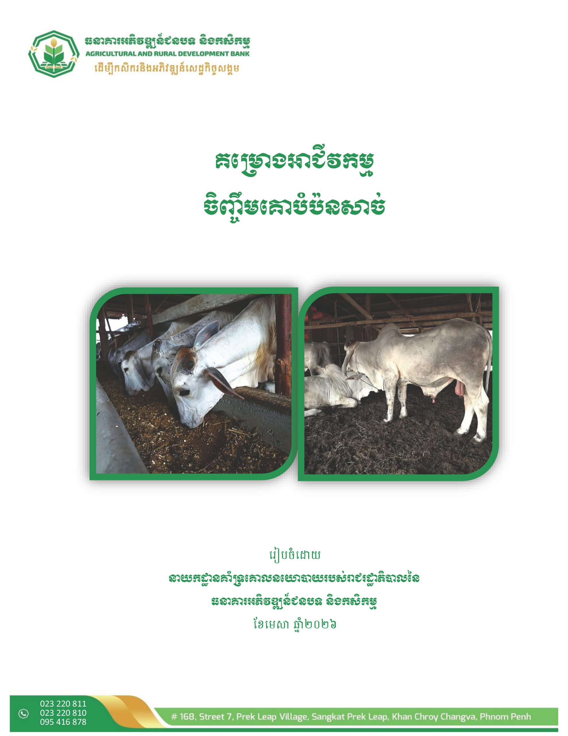 Beef Cattle Fattening​ Business Project