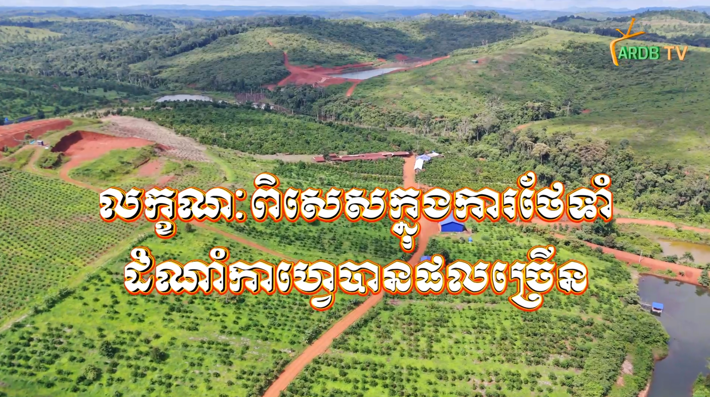 ដាំកាហ្វេបែបម៉េចទទួលបានផលច្រើន?