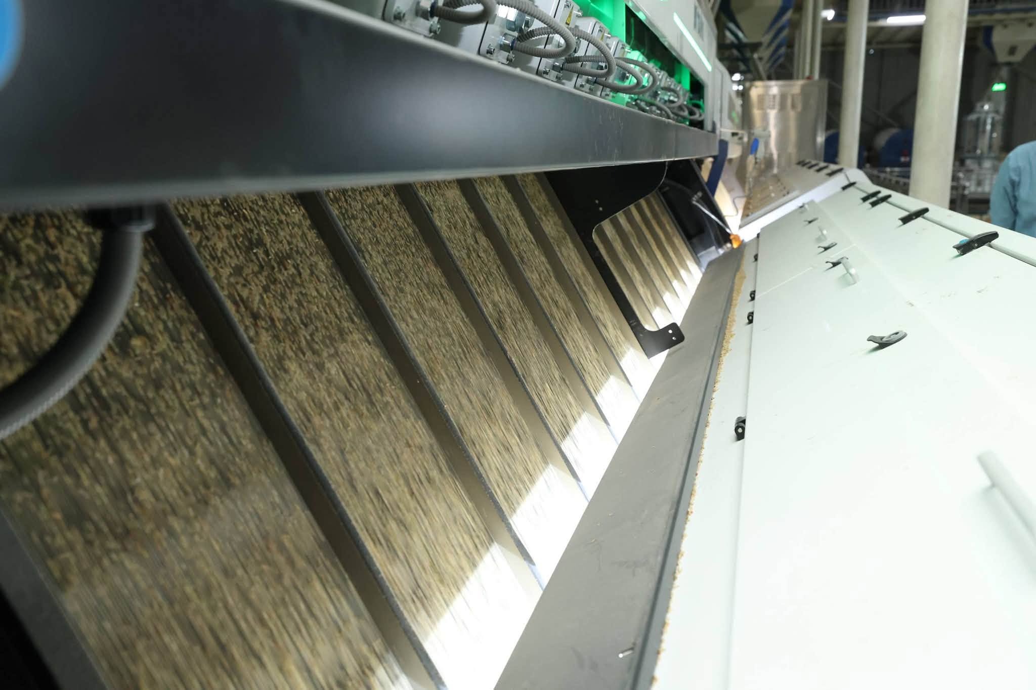 imgi_55_807901006_1546617734175176_8128943606712613471_n