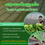 គម្រោងកសិកម្មឆ្លាតវៃ_3